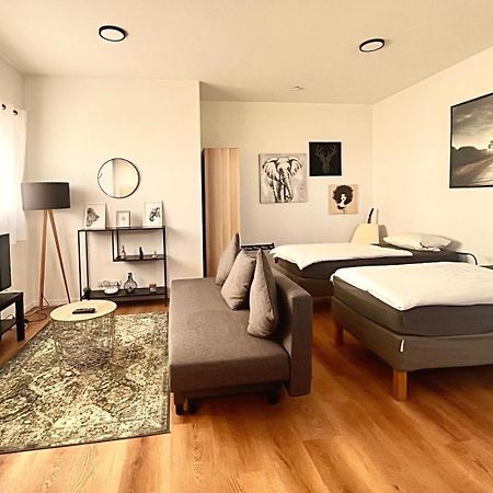 Studio Apartment Albblick Trossingen Exterior foto